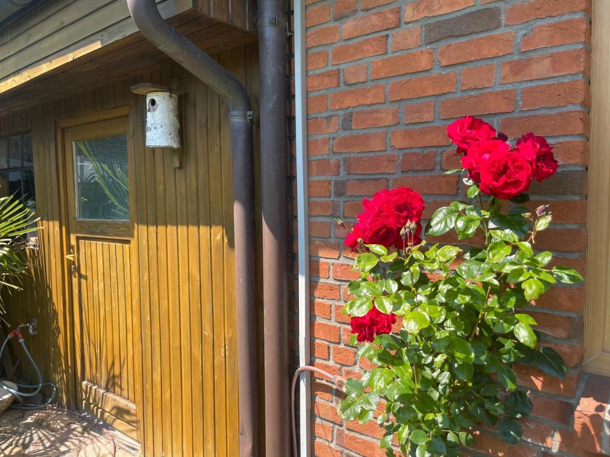 Urlaub Zwischen Den Meeren Apartment Schafflund Luaran gambar